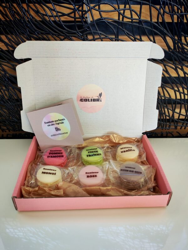 BOITE DE 6 FONDANTS MACARONS