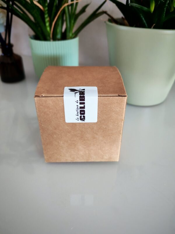 J'PEUX PAS J'AI BACHATA