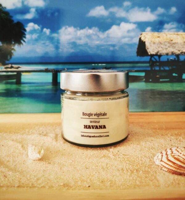 J'PEUX PAS J'AI BACHATA